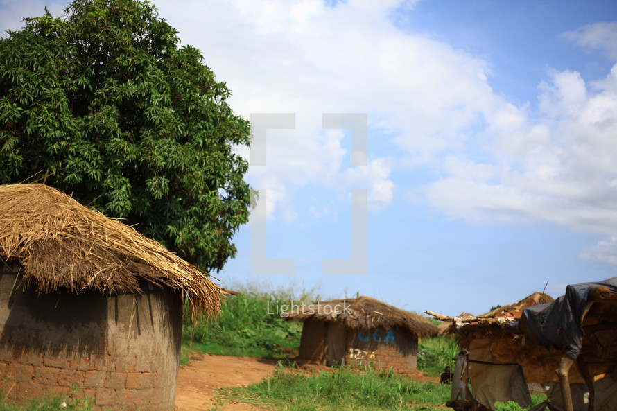 African grass roof huts 