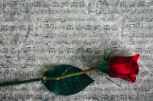 long stem red rose on sheet music 