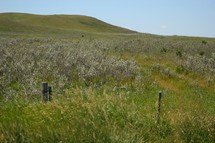 Prairie fields