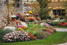 colorful fall flowers in a garden 