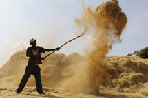 African man with a pitch fork tossing teff to separate the straw from the seed. The wind blows away the husk and straw while the seed falls directly to the ground where it can be collected.