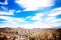 desert landscape 