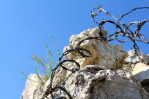 barbed wire on rock 