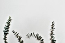 green eucalyptus sprigs 