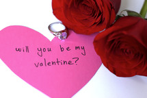 will you be my valentine? 