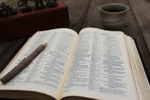 stick pencil on the pages of a Bible 