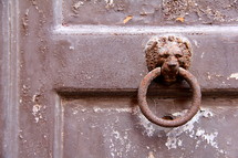 Rusted Lion door pull on weathered, antique, brown painted, door 