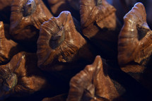 pine cone closeup 