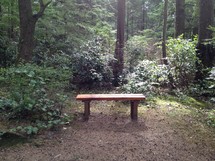Bench in the woods.