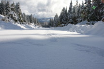 snow drifts in an alpine forest