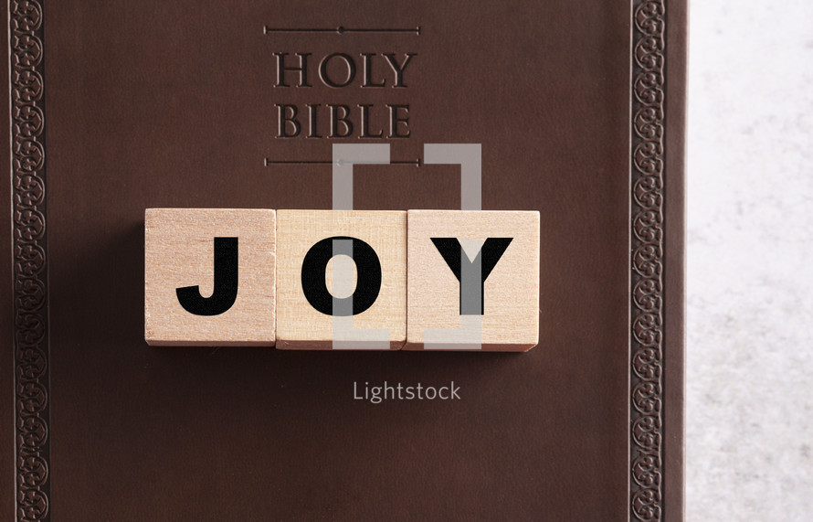 Holy Bible and word Joy 