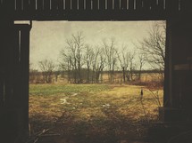 view from barn doors 