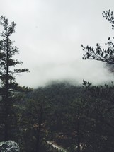 clouds on a mountaintop forest 
