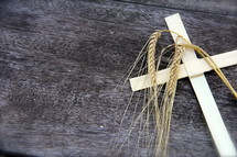 Stalks of wheat and Palm Sunday Cross on an old wooden bench