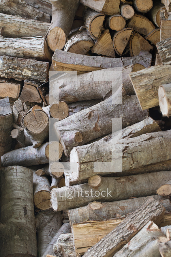 wood pile 