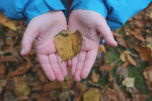 kid holding a fall leaf 