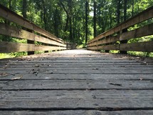 wood boards of a bridge in a forest 