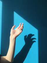 shadow of a raised hand 