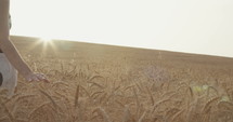 Woman walking in a large golden wheat field during sunset