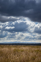 cloudy sky over a field 