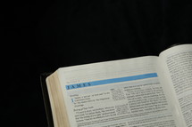 Open BIble in the book of James