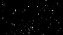 Snow falling on black background.