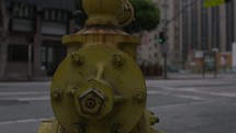 fire hydrant in a city 