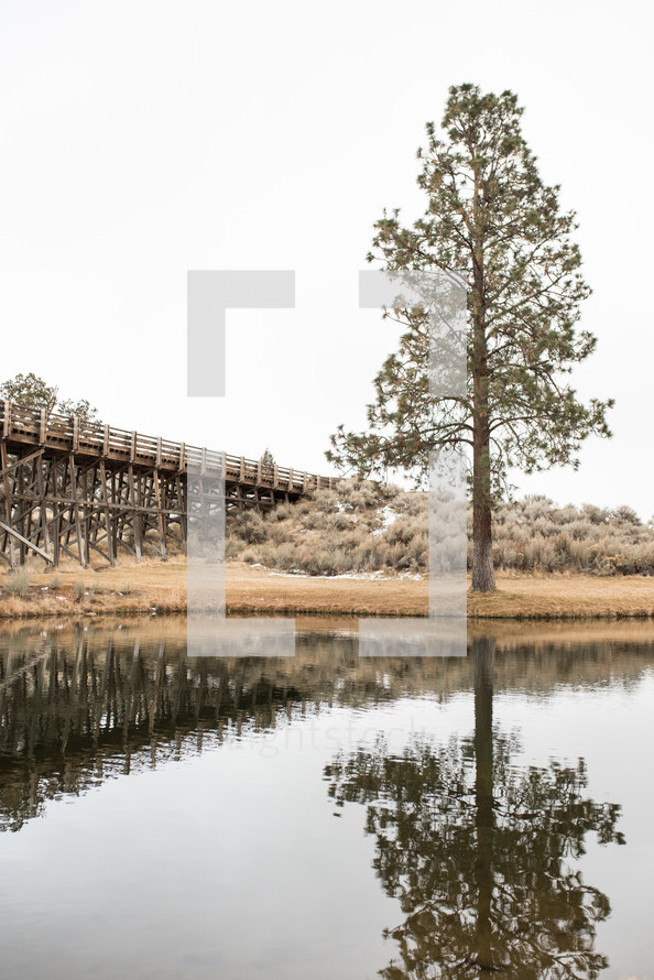 old bridge and reflection of a tree on pond water 