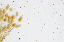 dried grasses against a white background 