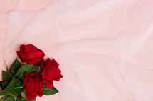 red roses on a pink background 