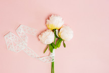 pink peonies on a pink background 