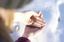 cupped hands holding a tiny pine cone over snow 