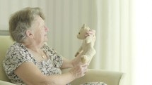 Senior woman holding old teddy bear themes of reminiscing memories childhood nostalgia