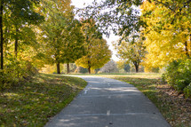 path way in fall 