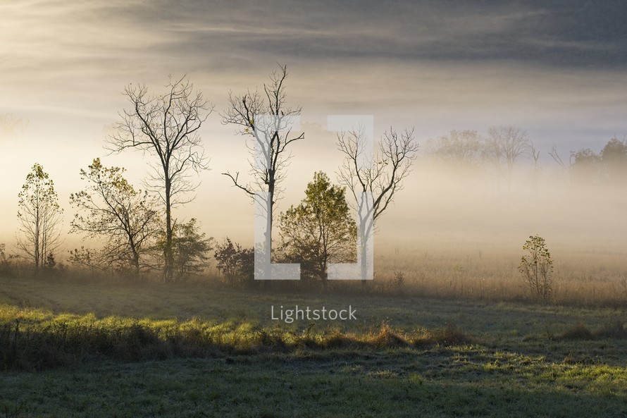 rising fog over a field 
