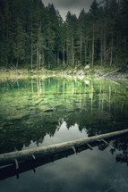 trees reflecting on shallow clear water in Lake Eibsee