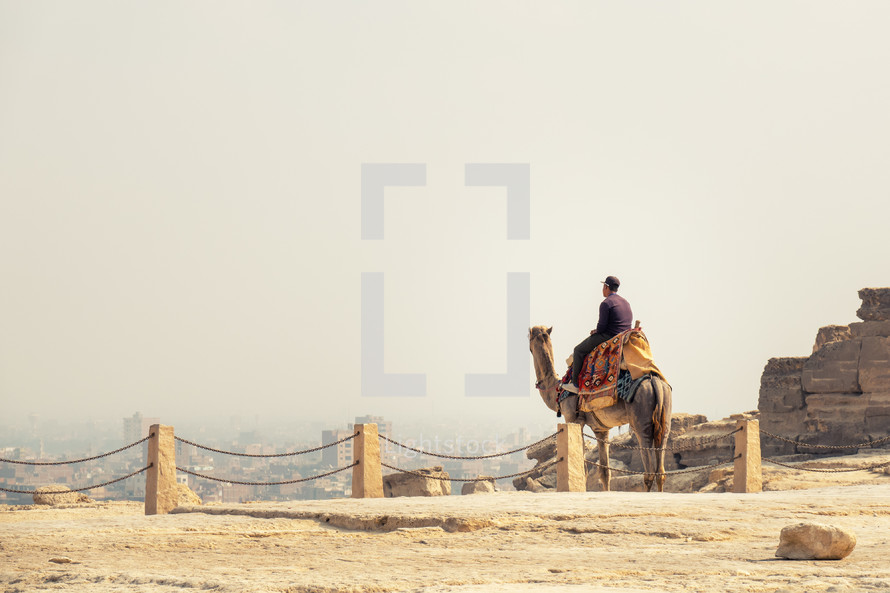 man riding a camel in Giza 