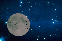 silhouettes of Geese flying in front of the moon 