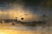 mist and steam over a pond 