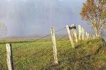 rising fog and fence 
