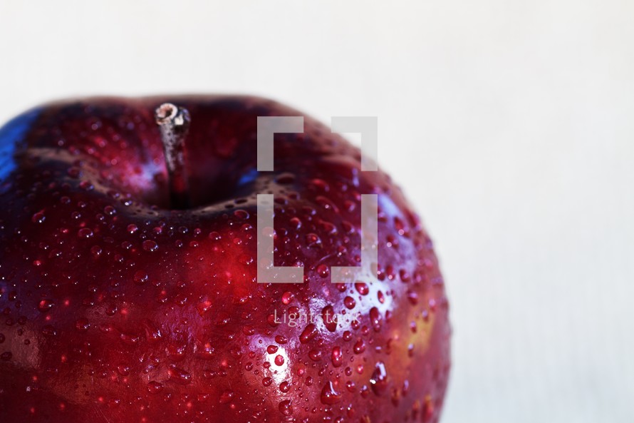 A red apple with waterdrops isolated on white