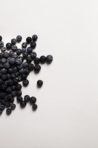 Blueberries scattered on white