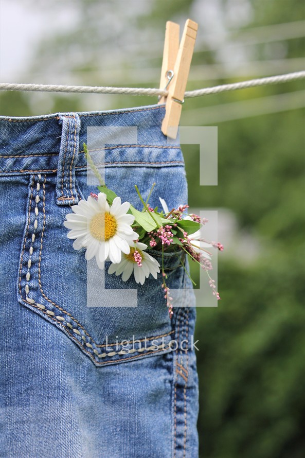 flowers in a jeans pocket 