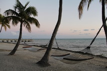 hammocks and palm trees on a beach 