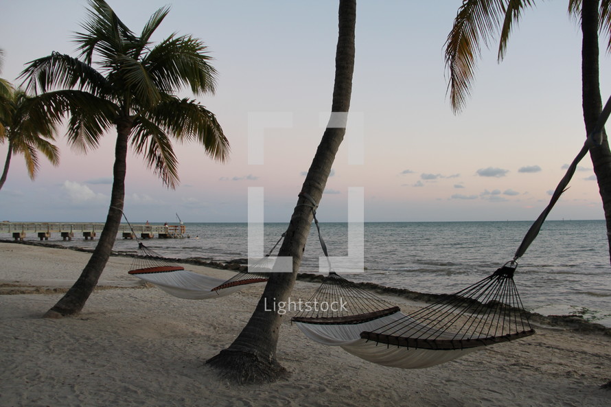 hammocks and palm trees on a beach 