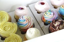 cupcakes in a box 