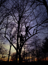 silhouettes of kids climbing trees 