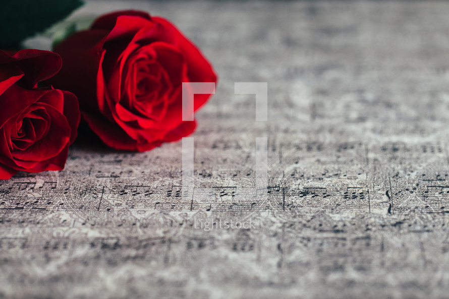 red roses on sheet music 
