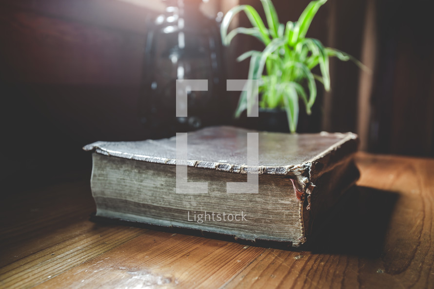 Bible, lantern, and houseplant in a window 