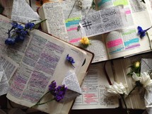 notes and flowers on the pages of a Bible 
